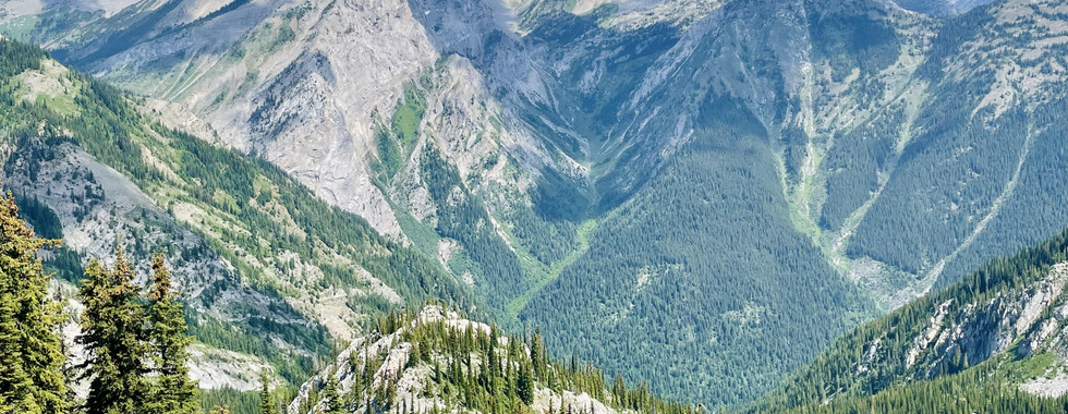 Mount Fernie Ridge Route Guide Hiking Fernie Biritsh Columbia Heiko Trail