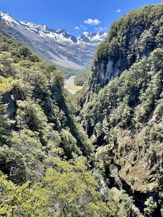 Looking into Canyon Creek New Zealand Ahuriri