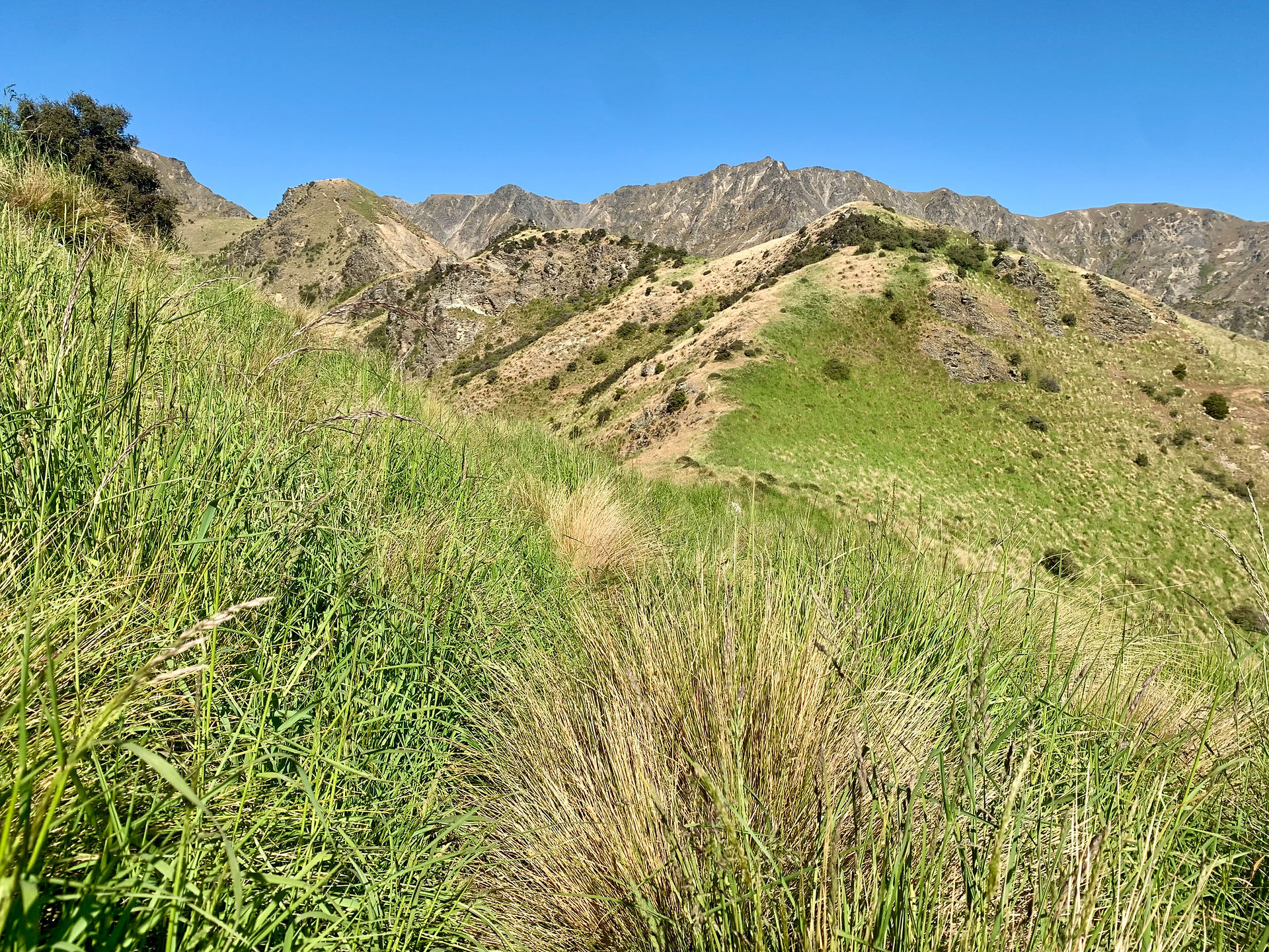 Hiking Breast Hill, Breast Peak, Pakituhi Hut