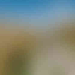 Hiking up the Meg Hut Pack Track