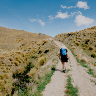 Hiking up the Meg Hut Pack Track