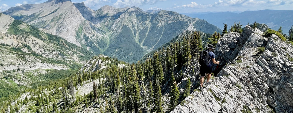 Mount Fernie Ridge Route Guide Hiking Fernie Biritsh Columbia Heiko Trail