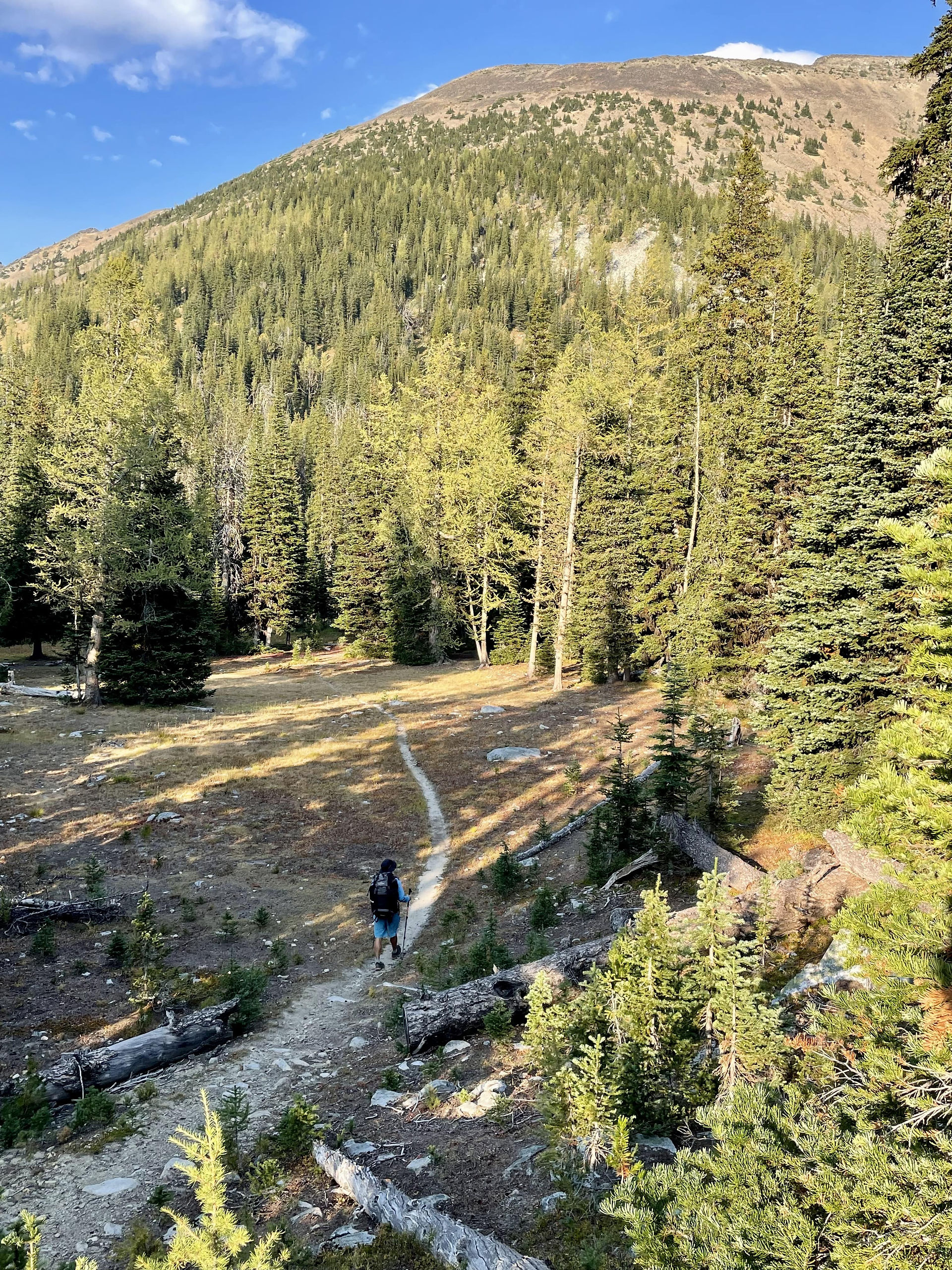 Pasayten Wilderness cascades hiking guide scrambling mountaineering hiking rolo wildcat old trail peak osceola mountain washington state