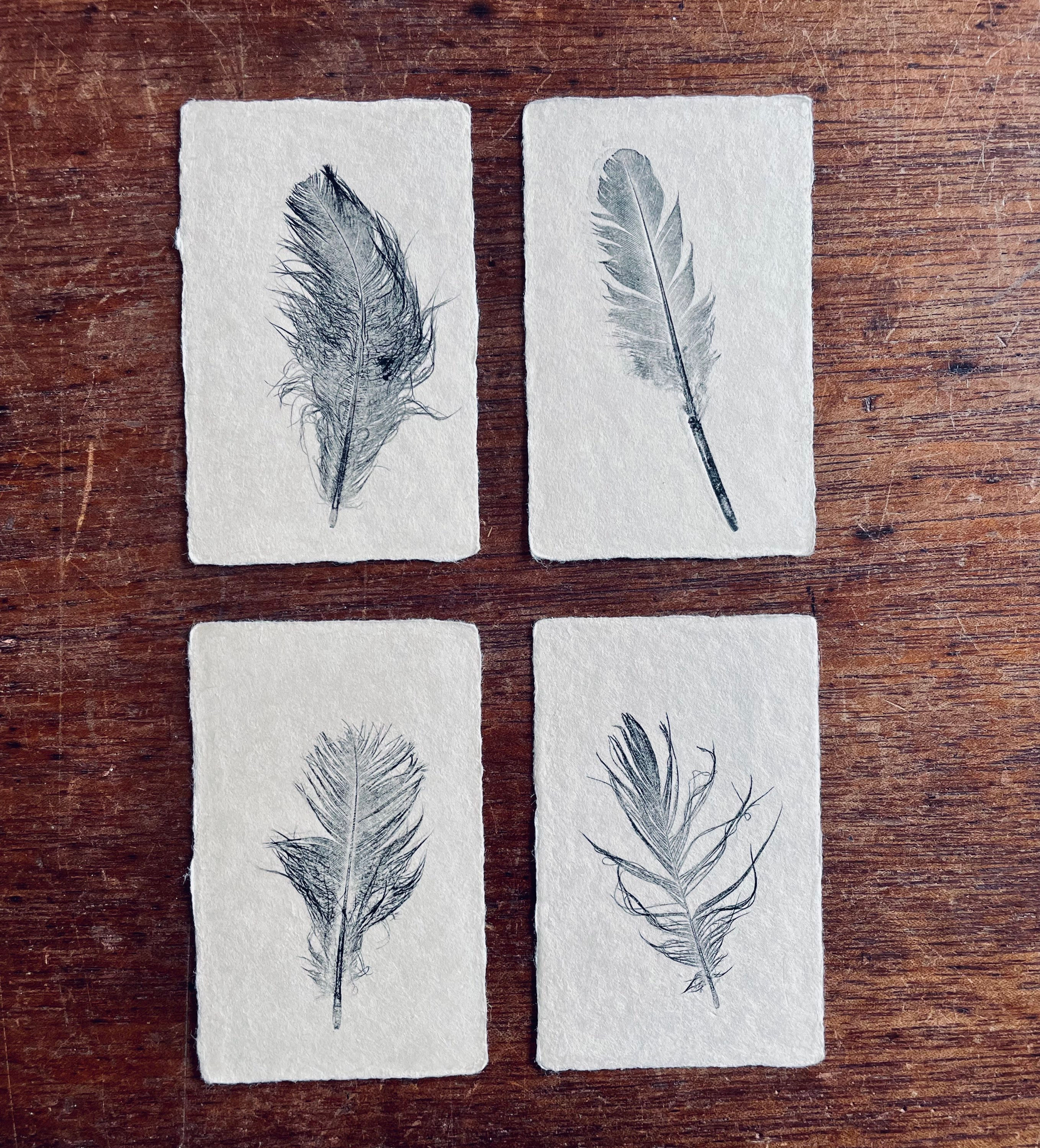 Gift Tags - Misc Feather Prints No.1