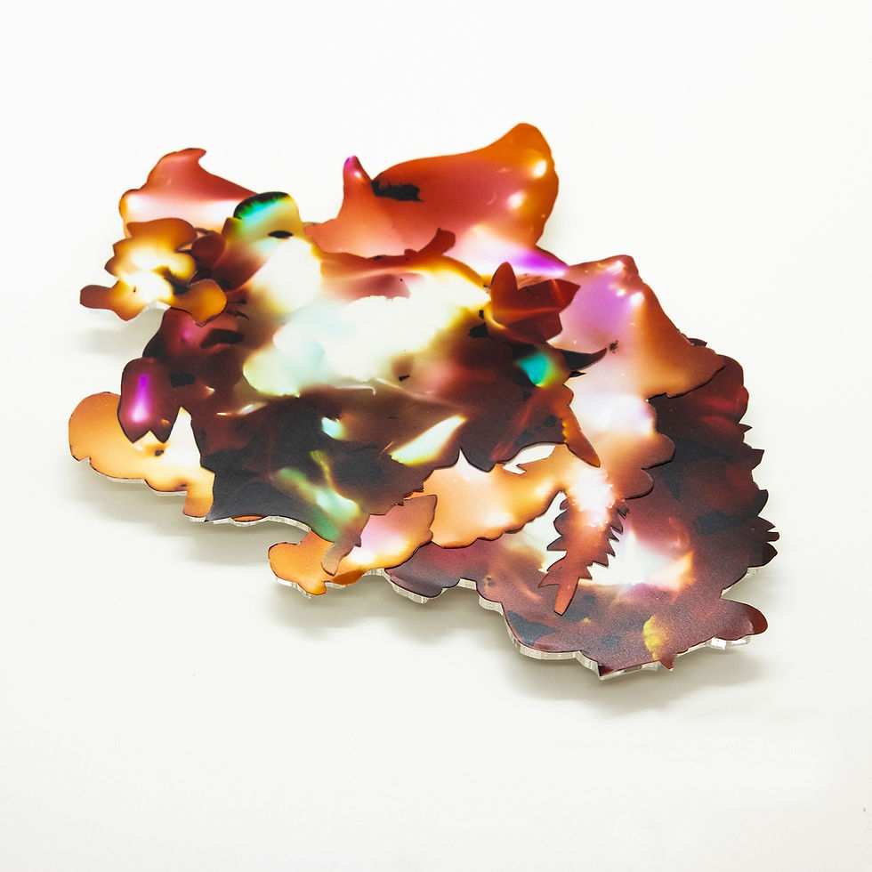 Protection posie (celosia, carnation)