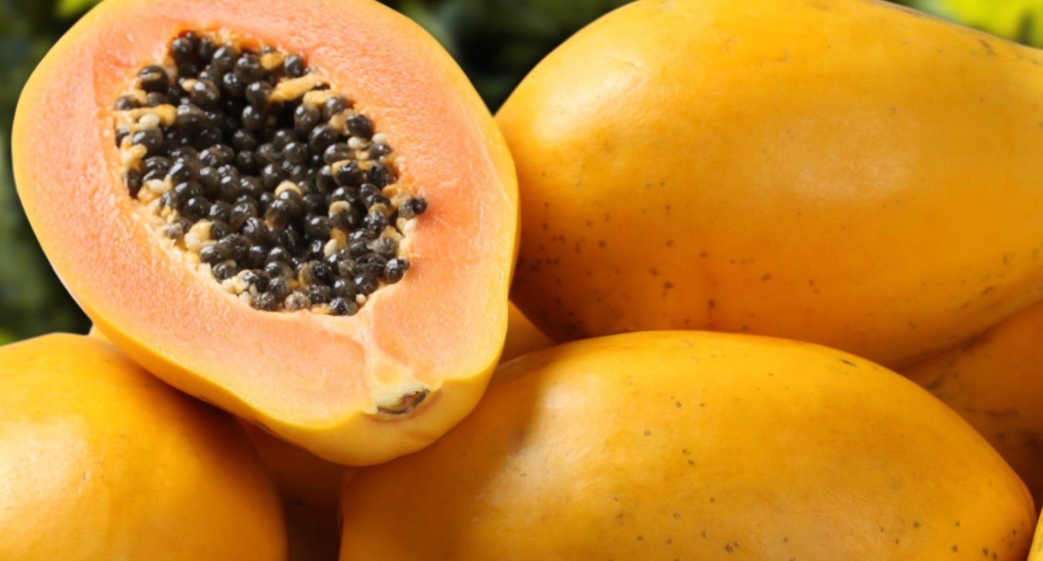 Papaya