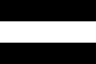 drapeau du pnb parti national breton