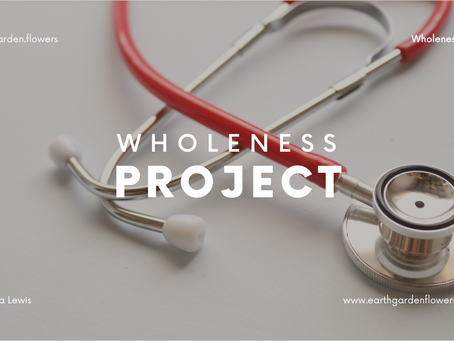 The Wholeness Project: Introduction