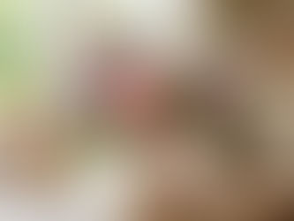 The Mother's Day Flower Guide (If You’re Completely Lost)