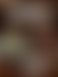 How to Choose the Perfect Flowers for Any Occasion