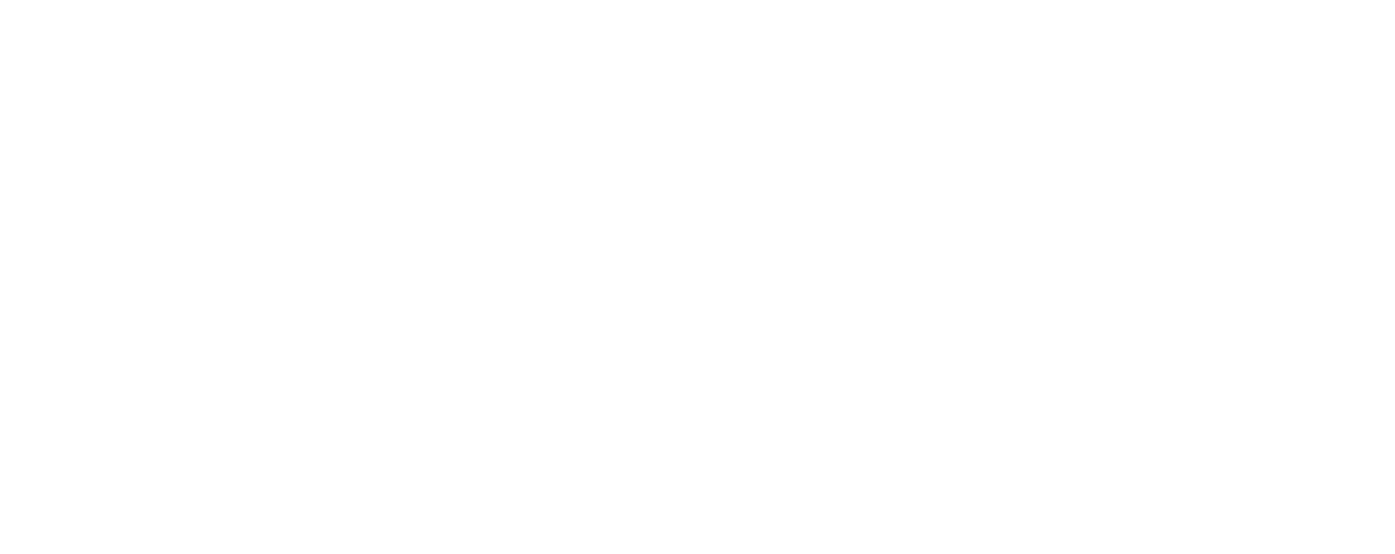 Neri Consulting LLC - Full Lockup - White_2x.png