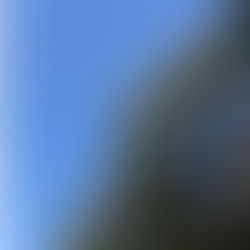 真打昇進披露パーティー開催！