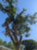 image000000.JPG
