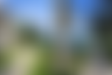 Aşiyan: Bir Müzeden Daha Fazlası