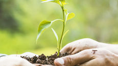 Alteração de Percentual das Contribuições