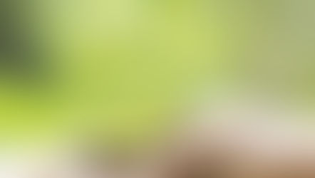 Alteração de Percentual das Contribuições