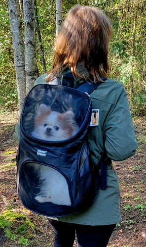 Back Pack | yapperwrapper