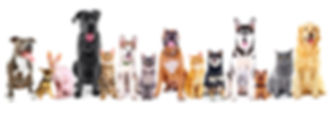 AdobeStock_114094330.jpeg