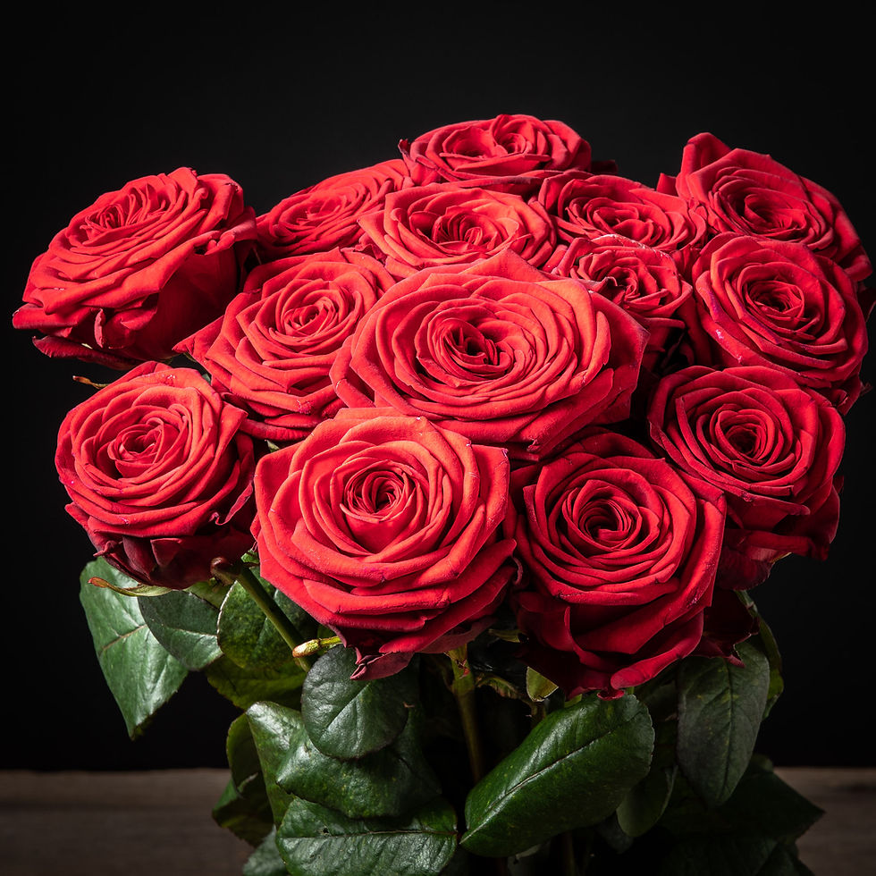 Miniaturbild: 15 rote lange Rosen