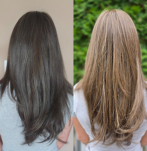 sunlit chestnut RW.jpg