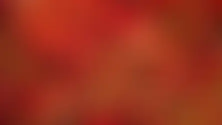 How Can Organic Chili Sauce Enhance Your Meals?