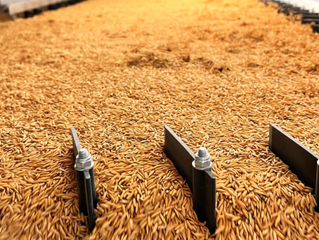 Sementes Arns oferece o Tratamento de Sementes Industrial (TSI)