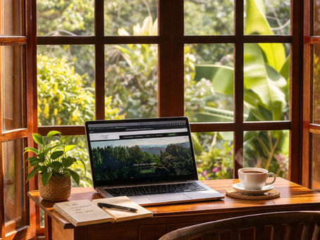 Boquete Panama digital nomads working from a quiet mountain lodge surrounded by nature