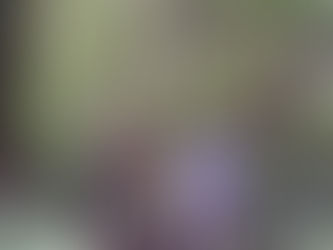 Boquete Panama mountain landscape with lush green valley and cloud forest views