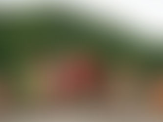 Raíces, un motor para crecer. 