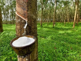 Rubber exports break record