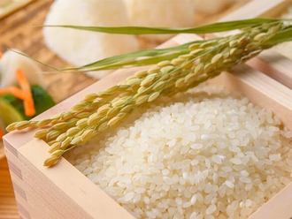Vietnam exports nearly 790,000 tons of rice in Jan-Feb