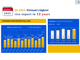Q1/2023: Vietnam's rice exports increased sharply in volume and price