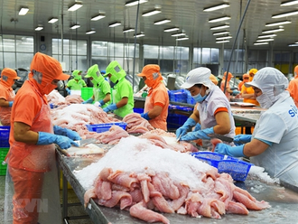Seafood exports reach record $11b in 2022, challenges ahead