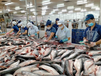 Xuất khẩu giảm ảnh hưởng đến lợi nhuận doanh nghiệp thủy sản