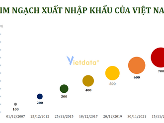 Ấn tượng 700 tỷ USD kim ngạch xuất nhập khẩu