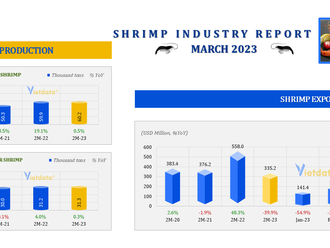 Shrimp exports continue to decline in February 2023