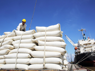 The price of Vietnamese rice exports far exceeds that of Thailand and Pakistan