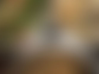 How to Meet Your Pet Rat's Dietary Needs for Optimal Health and Thriving