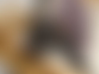 How to Uncover the Intelligence of Pet Rats and Their Trainability Potential