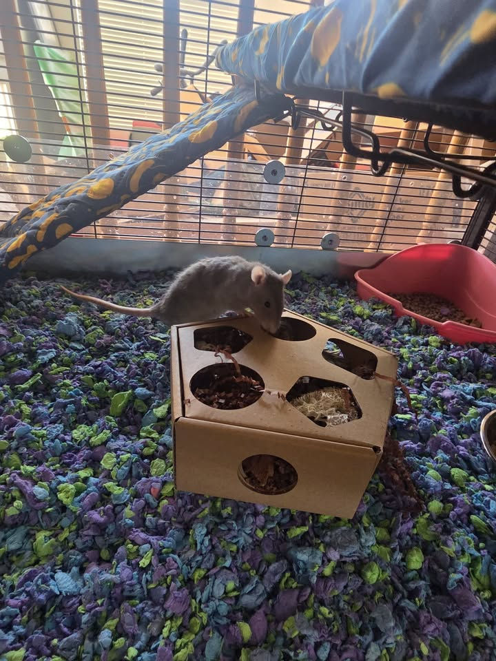 image-990282637020924
