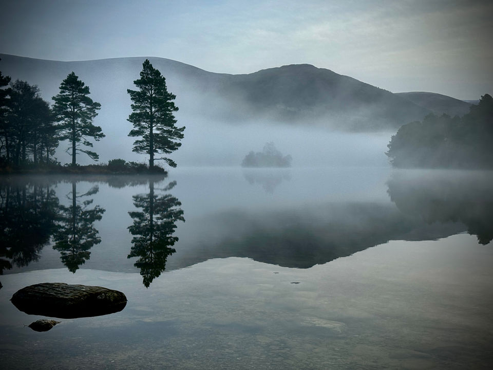 Misty Loch with pine trees reflecting in calm water of Loch an Eilein
