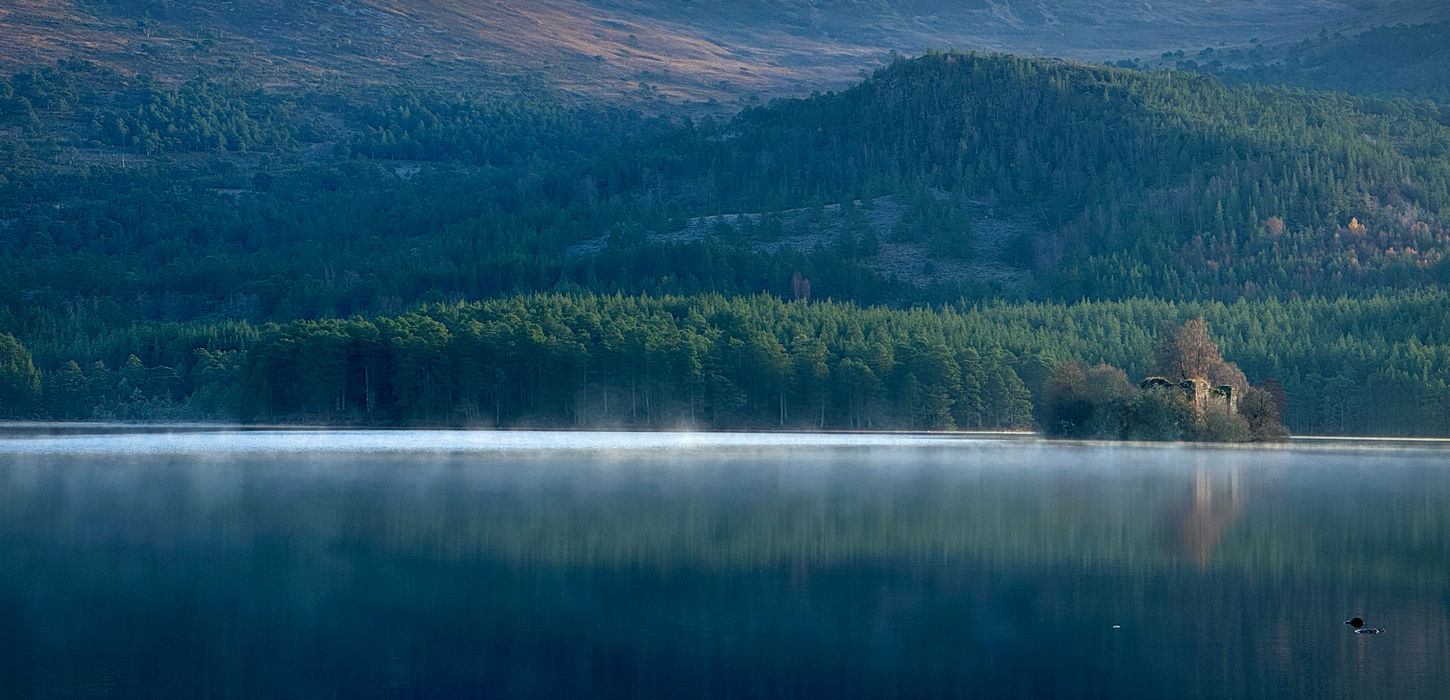 Misty morning landscape, Aviemore