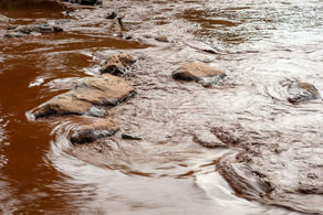 Startup descobre como usar bactérias para despoluir as águas dos rios