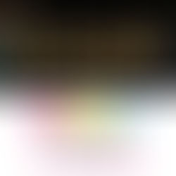 SRSLY Dexter January '24 Newsletter