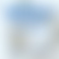 SRSLY Dexter December Newsletter