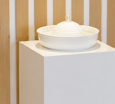 Het inrichten van een fysiotherapiepraktijk interieur met houten wand met decoratief fonteintje