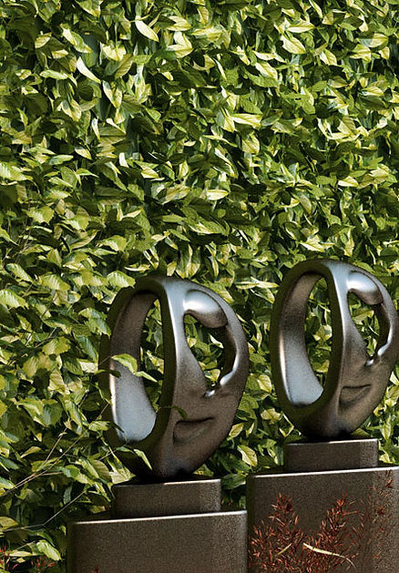 1-Sfeerium-Tuin-Terras-ontwerp-zen-wellness-spa-holistisch-