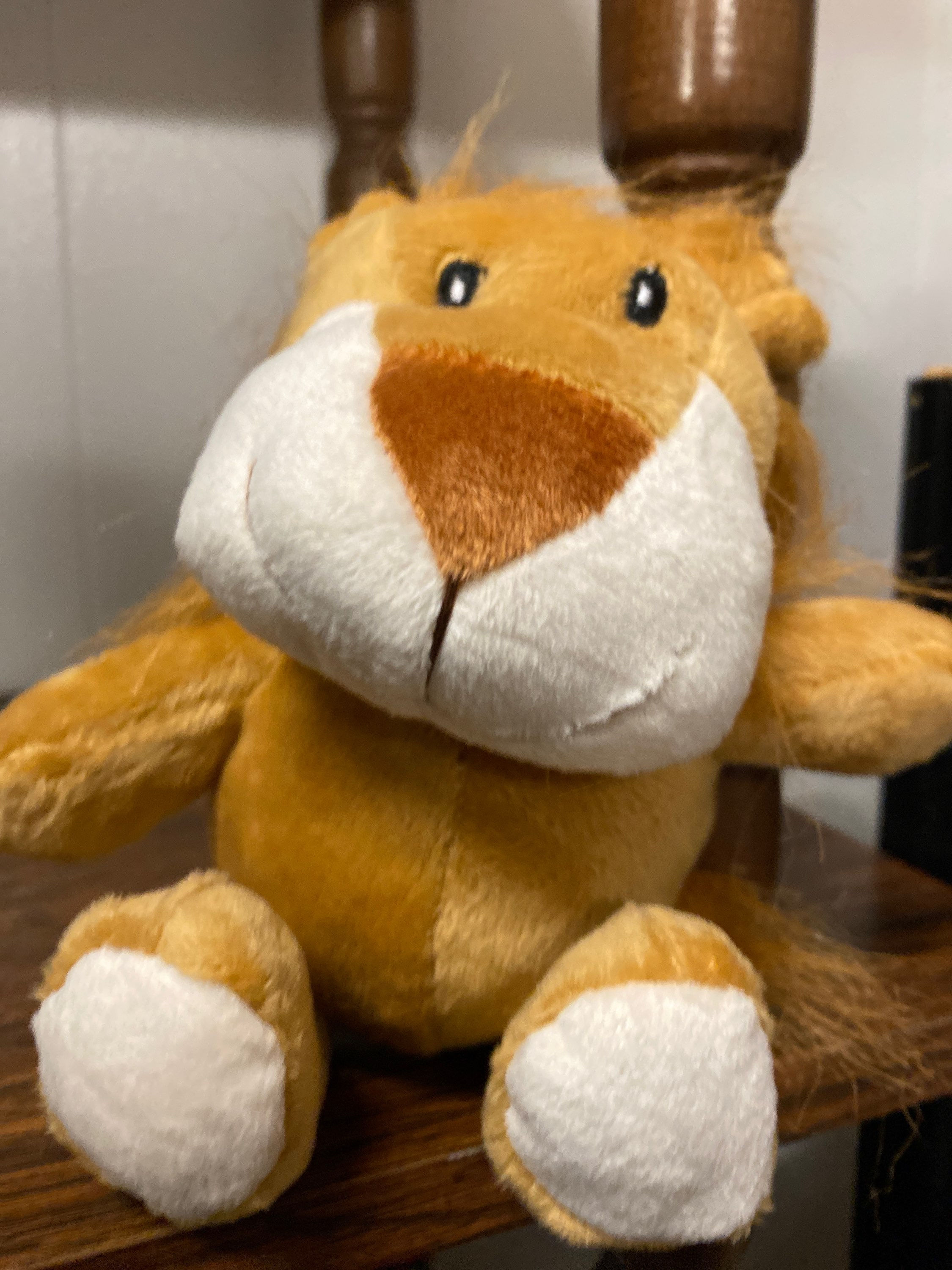 Little Lion