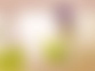 Costa's Hummingbird in front of a window