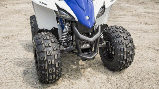 Animation_yfz50_1.gif